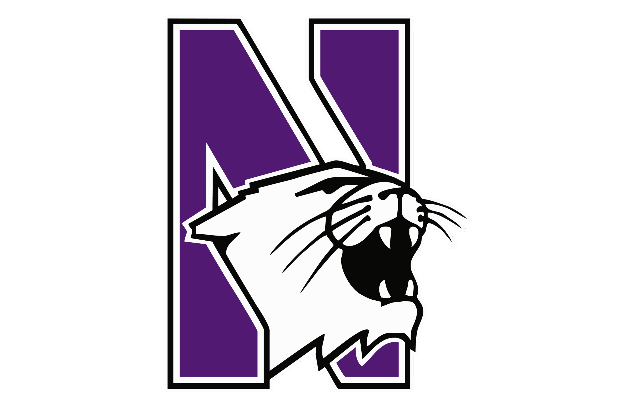 Northwestern University Celebrates 50 Years in field hockey